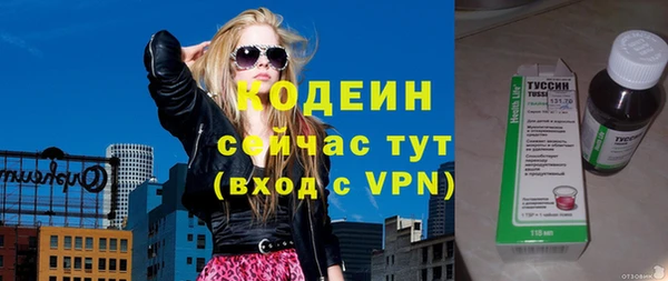 стаф Гусь-Хрустальный