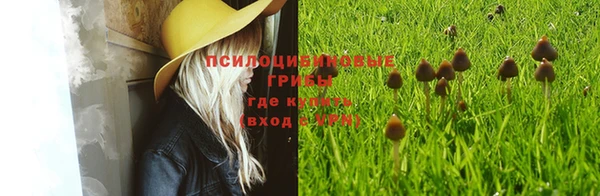 эйфоретик Аркадак