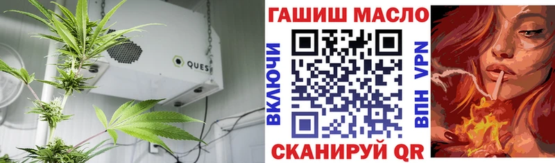 сколько стоит Малгобек гидра ONION ТГК концентрат