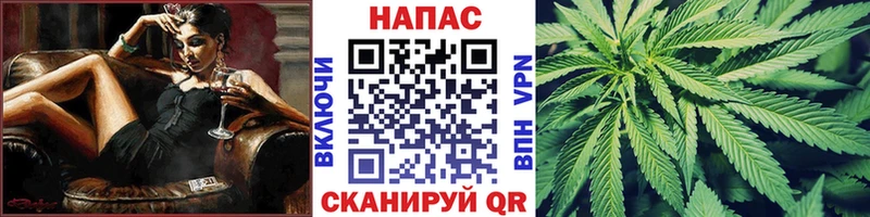 Бошки Шишки гибрид  Малгобек 